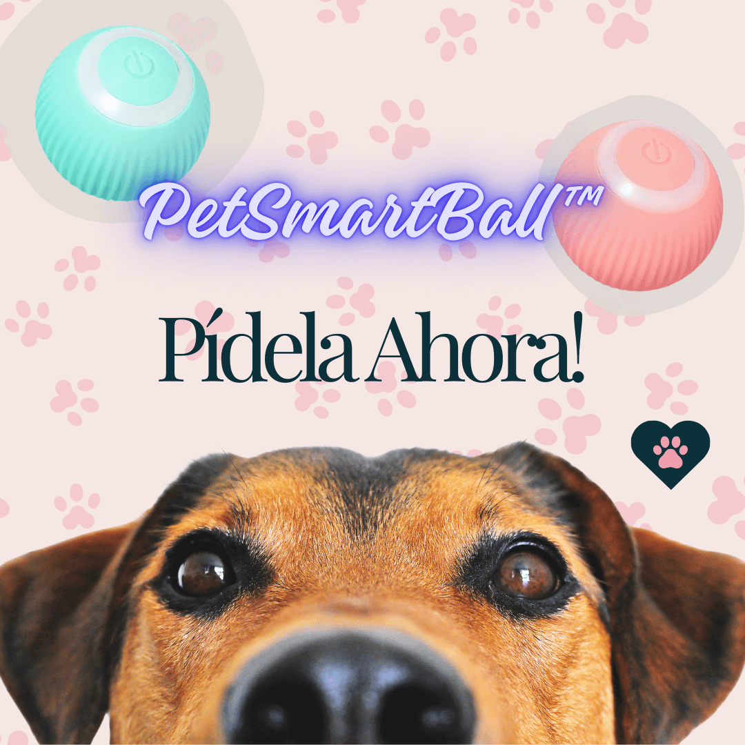 PetSmartBall™ Pelota Interactiva para Perros y Gatos